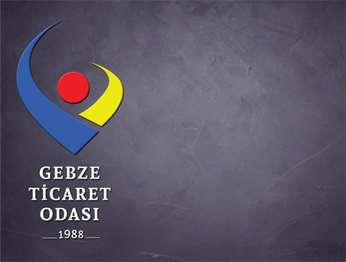 Ezgi ÖZMEN